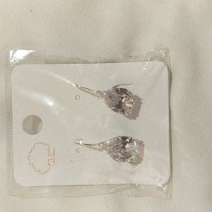 NWT earings